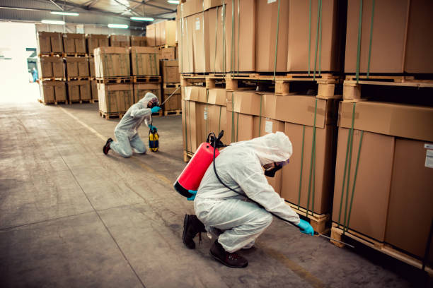 Best Exterminator Services  in Ronceverte, WV