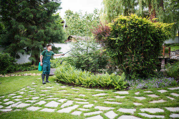 Professional Pest Control in Ronceverte, WV