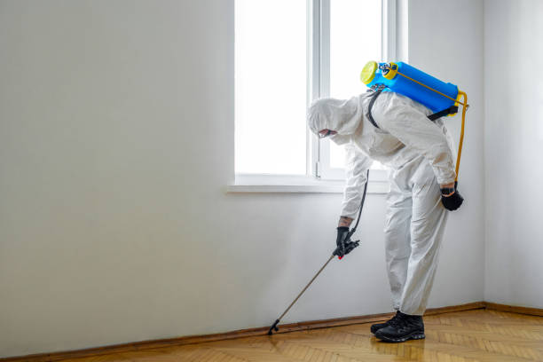 Best Commercial Pest Control Services  in Ronceverte, WV
