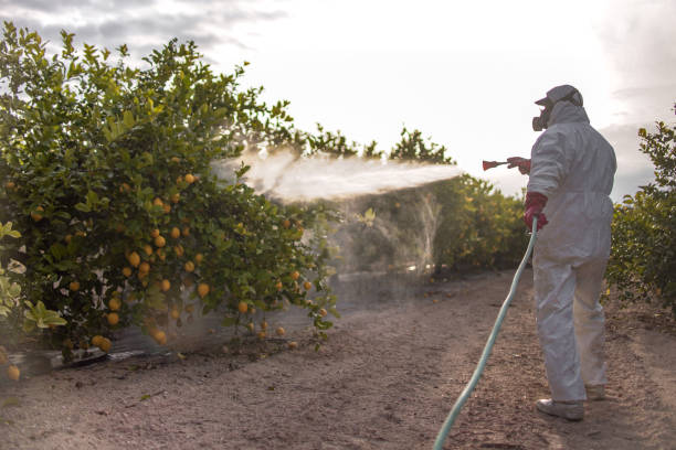 Reliable Ronceverte, WV Pest Control Solutions