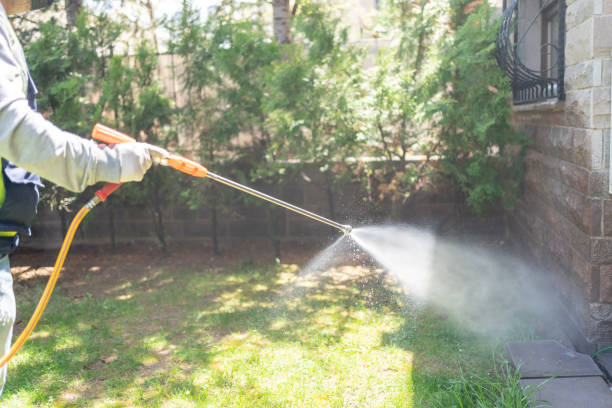 Spider Control Near Me in Ronceverte, WV