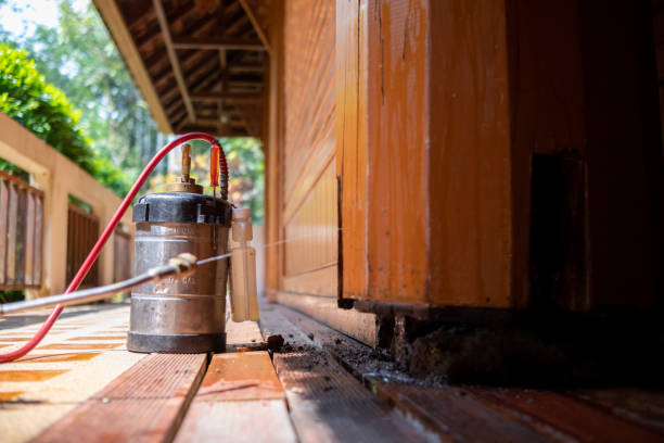 Pest Prevention Services in Ronceverte, WV