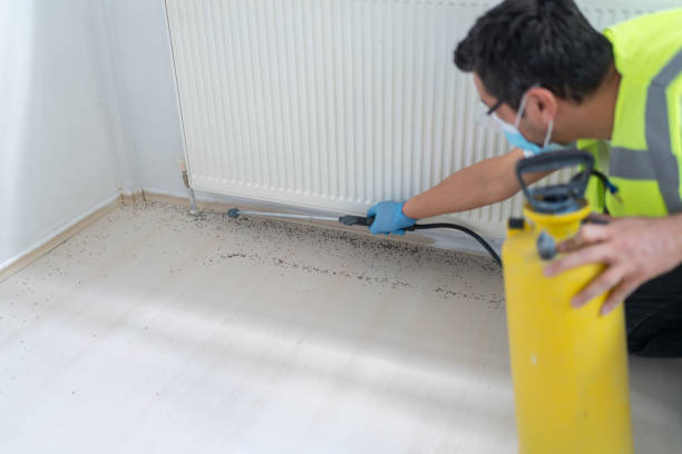 Wasp Removal Services in Ronceverte, WV