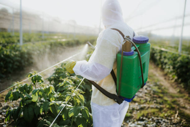 Best Emergency Pest Control  in Ronceverte, WV